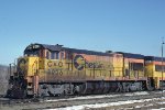 CO 8226 at Russell